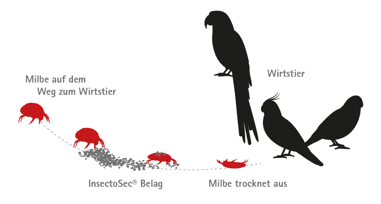 InsectoSec Wirkstoff Kieselgur gegen Milben